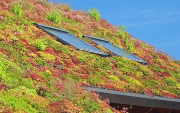 Kingston Deverill living roof systems