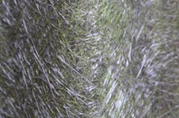 Kingston Deverill fibreglass roof work